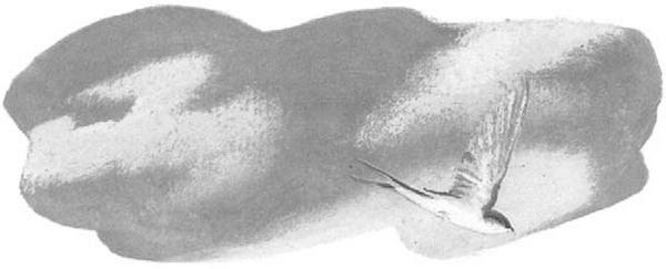 Василий Белов. Рассказы о всякой живности Василий Белов. Рассказы о всякой живности